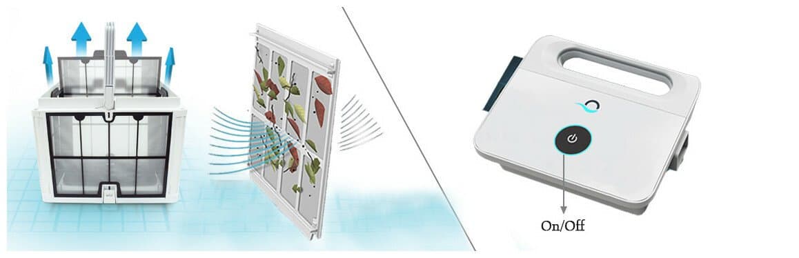 Robot piscine Dolphin T25 - Prix Fabricant - illustration 2